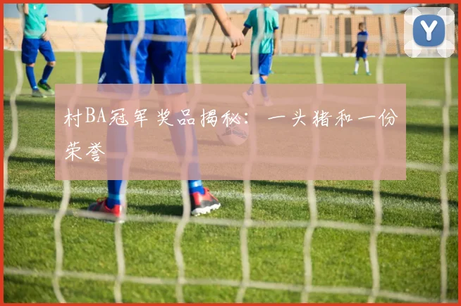 村BA冠军奖品揭秘:一头猪和一份荣誉